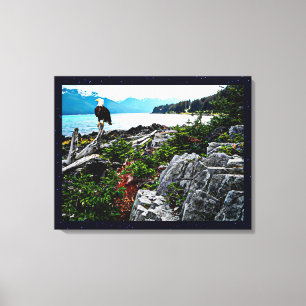 Bald Eagle over de kust van Alaska Canvas Afdruk
