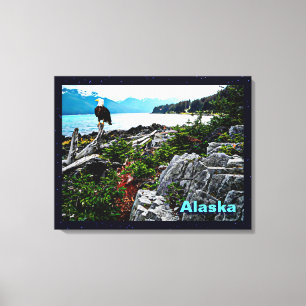 Bald Eagle over de kust van Alaska Canvas Afdruk