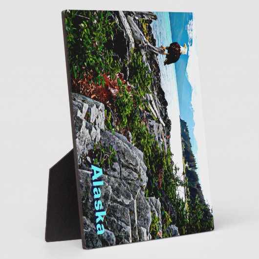 Bald Eagle over de kust van Alaska Fotoplaat (Zijkant)