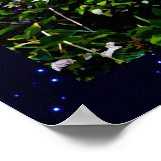 Bald Eagle over de kust van Alaska Poster (Hoek)