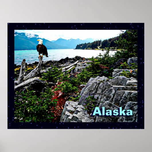 Bald Eagle over de kust van Alaska Poster (Voorkant)