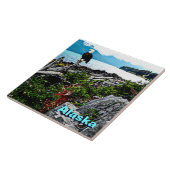 Bald Eagle over de kust van Alaska Tegeltje (Zijkant)