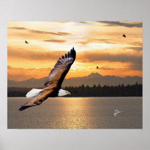 Bald Eagle over de Olympische zonnebrand Poster