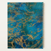 Bald Eagle over Marble Planner (Achterkant)