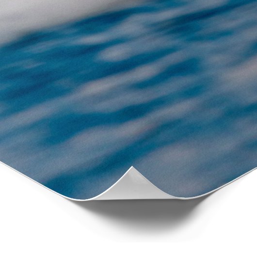 Bald Eagle Over Snow Poster (Hoek)