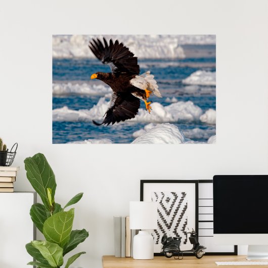 Bald Eagle Over Snow Poster (Thuiskantoor)