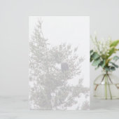 Bald Eagle P2825 (Staand voorkant)