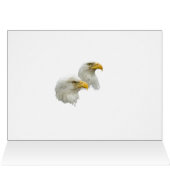 Bald Eagle Pair in hun nest (Binnen Horizontaal (Boven))