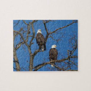 Bald Eagle Pair Legpuzzel