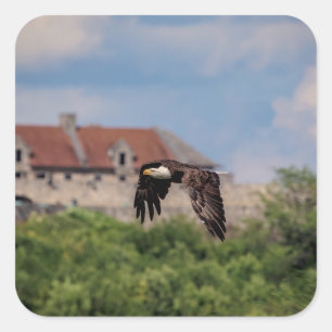 Bald Eagle pass Fort Ticonderoga Vierkante Sticker