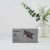 Bald Eagle Pêche Cartes de visite de la faune (Debout devant)