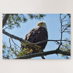 Bald Eagle Perch - 20x30 - 1014 pcs. Legpuzzel