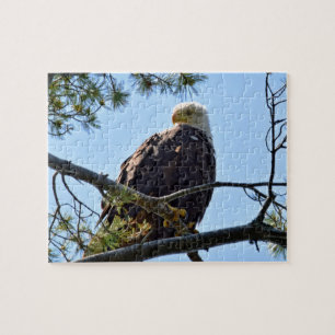 Bald Eagle Perch - 8 x 10 - 110 pcs. Legpuzzel