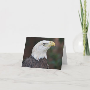 Bald Eagle Photo Folded Note Kaart