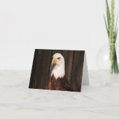 Bald Eagle Photo Folded Note Kaart (Voorkant)