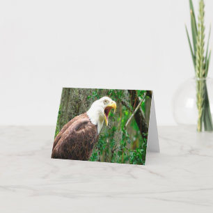 Bald Eagle Photo Folded Note Kaart