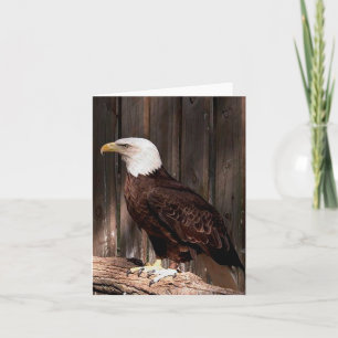 Bald Eagle Photo Folded Note Kaart