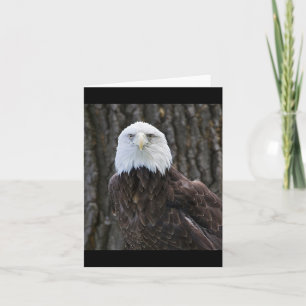 Bald Eagle Photo Folded Note Kaart