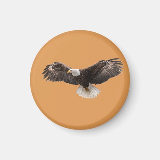  bald eagle pin , commonly sold as  magneet (Voorkant)