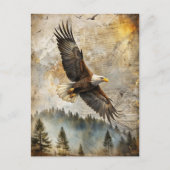 Bald Eagle Pine Forest Natuur Wildlife Briefkaart (Voorkant)