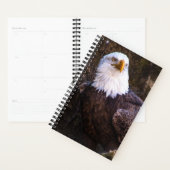 Bald Eagle Planner (Display)