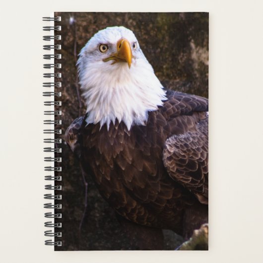 Bald Eagle Planner (Voorkant)