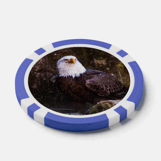Bald Eagle Poker Chips (Enkel)