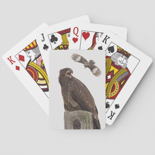 Bald Eagle Pokerkaarten (Achterkant)