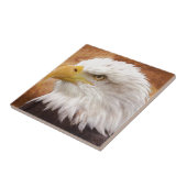 Bald Eagle Portrait Tegeltje (Zijkant)