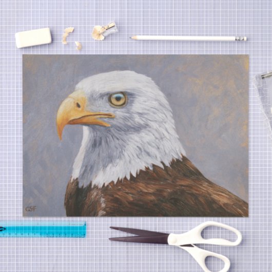 Bald Eagle Portrait Tissuepapier (Craft)