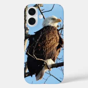 Bald Eagle Pose iPhone 16 Hoesje