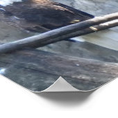 Bald Eagle Poster (Hoek)