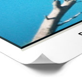 Bald Eagle Poster (Coin)