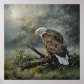 Bald Eagle Poster (Voorkant)