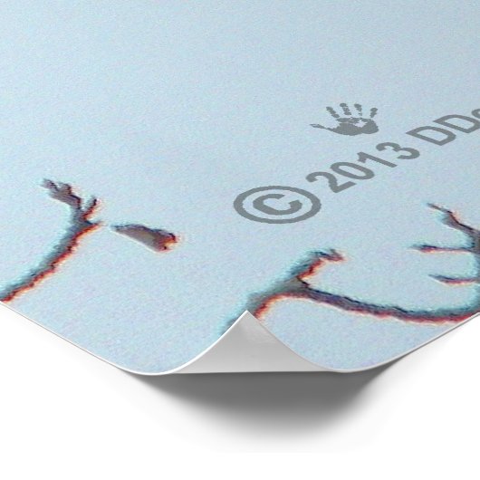 Bald Eagle Poster (Hoek)