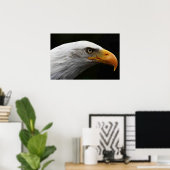Bald Eagle-Poster Poster (Thuiskantoor)