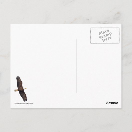 Bald Eagle Preening Briefkaart (Achterkant)