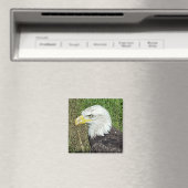 Bald Eagle Profile Magnet Magneet (Insitu (Vaatwasser))