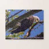 Bald Eagle Puzzle Legpuzzel (Horizontaal)