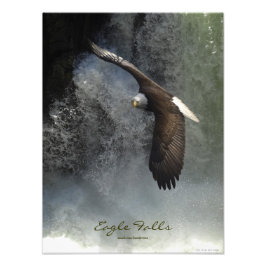 Bald Eagle Raptor Wild Animal Foto afdrukken Afdruk