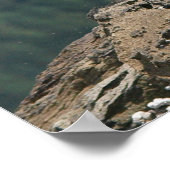 Bald Eagle Ready for Flight Fine Art-afdrukken Poster (Hoek)