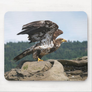 Bald Eagle Ready for Takeoff - muispad Muismat