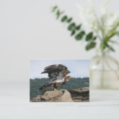 Bald Eagle Ready for Takeoff - visitekaartjes (Staand voorkant)