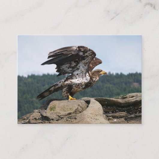 Bald Eagle Ready for Takeoff - visitekaartjes (Voorkant)