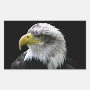 Bald Eagle Rechthoekige Sticker