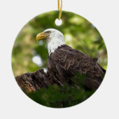 Bald Eagle Rest Stop Keramisch Ornament (Voorkant)