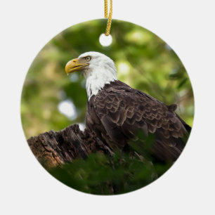 Bald Eagle Rest Stop Keramisch Ornament