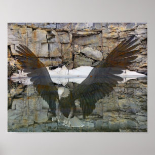 Bald Eagle Rock Wall reflecteert in water Poster