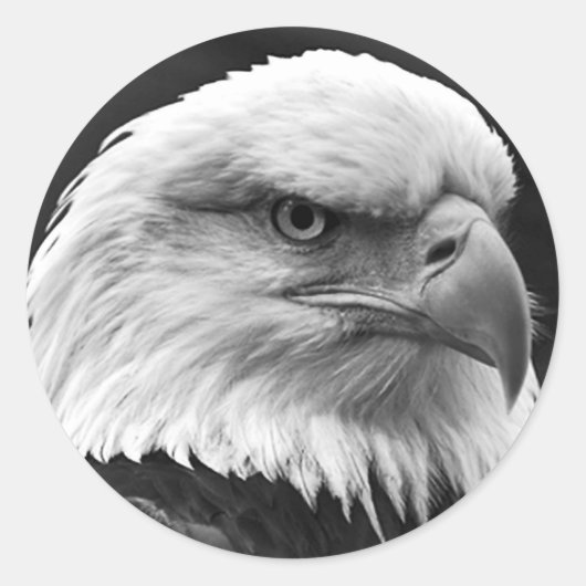 Bald Eagle Ronde Sticker (Voorkant)