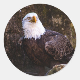 Bald Eagle Ronde Sticker